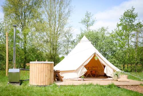 ein weißes Zelt auf einem Feld mit Bäumen in der Unterkunft Minicamping de dobbe 