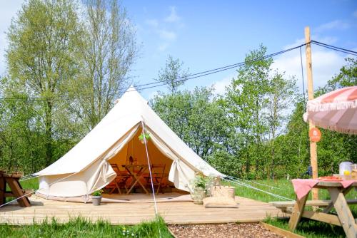 ein weißes Zelt mit einer Holzterrasse im Hof in der Unterkunft Minicamping de dobbe 