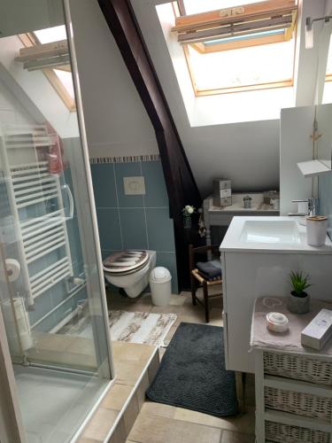 uma casa de banho com um chuveiro, um lavatório e um WC. em Agréable chambres d’hôte em Parence