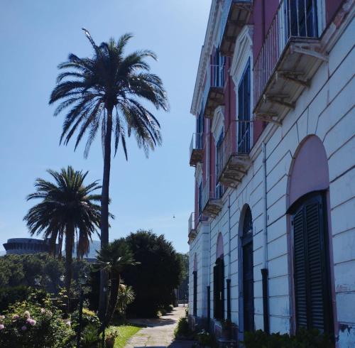 a palm tree in front of a building at Relais al Castello in Castellammare di Stabia