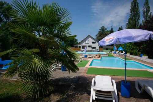 una piscina con sillas, una sombrilla y una palmera en Camping des Bains, en Saint-Honoré-les-Bains