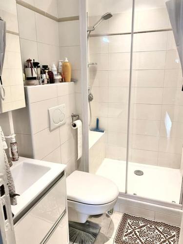 une salle de bain blanche avec toilettes et douche dans l'établissement Paca Properties -12CV- T2 Cosy, à Cannes
