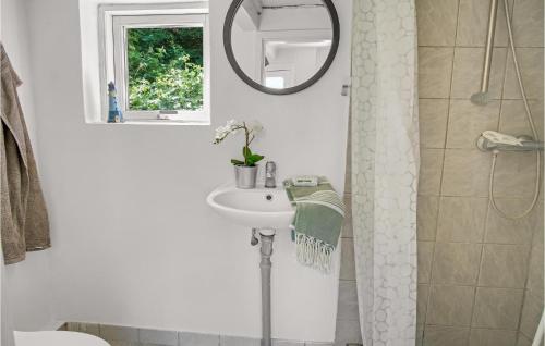 W łazience znajduje się umywalka, lustro i prysznic. w obiekcie 2 Bedroom Amazing Home In Sams w mieście Permelille