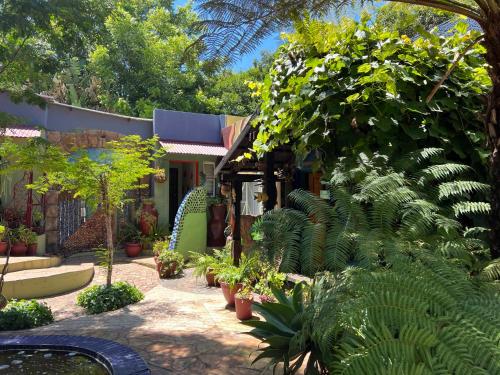 a garden with plants and trees and a building at Rabbit Hole Hotel in Krugersdorp