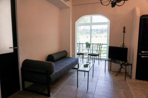 uma sala de estar com um sofá e uma televisão em Sani Pine em Sani Beach