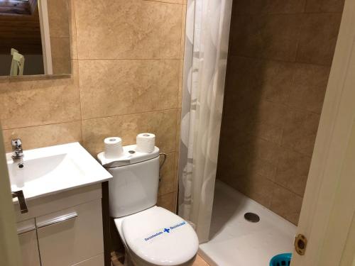 ein Bad mit einem WC, einem Waschbecken und einer Dusche in der Unterkunft Apartamento piscina jardin Lara in San Martín de Valdetuéjar