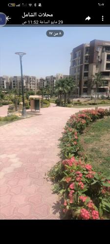 een uitzicht op een park met roze bloemen en gebouwen bij بيشوى منسي نتيج القوصيه 
