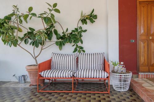 a bench sitting on a patio with a plant at Villa Aurora in Vico Equense