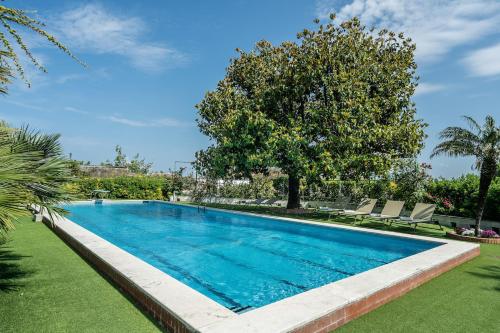 a swimming pool in a yard with a tree at Villa Aurora in Vico Equense