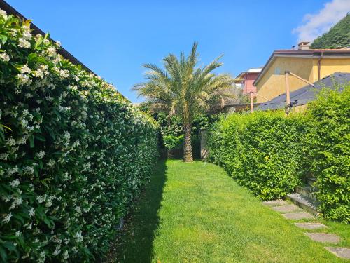 a hedge alley with a palm tree and a house at La Rocca Maison de Charme in Moneglia