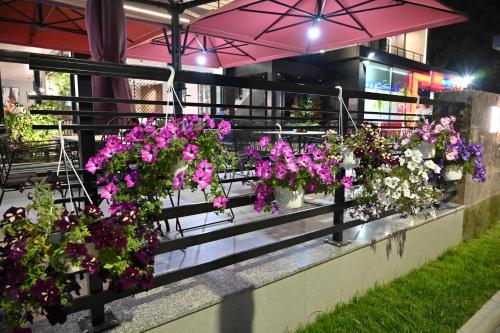 Hotel Vinoにある庭