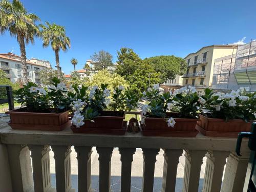 a row ofotted plants on a balcony at Domus Socolatae Residenza d'Epoca Charming B&B - Adults Only in Follonica