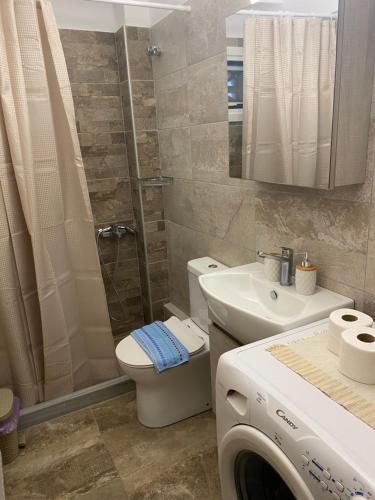 bagno con lavandino e servizi igienici e lavatrice. di Lefkada Town Apartment a Città di Lefkada
