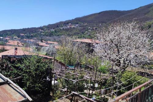 a view of a town with trees and a mountain at casa vacanze “Tra cielo e mare” Agerola in Agerola