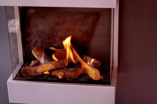a fire in a fireplace with some food in it at Ferien_VILLA SANSIBAR in Göhren-Lebbin