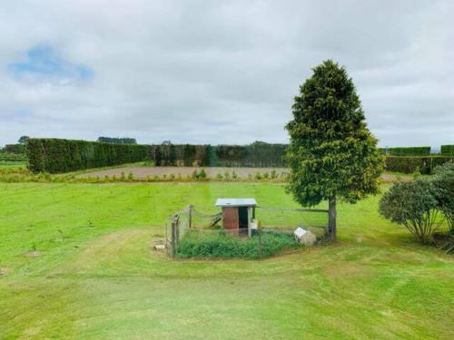 a tree in a field with a fence and a tree at Besties West Auckland in Kumeu
