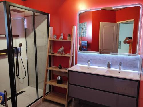 ein Bad mit einem Waschbecken und einer Dusche mit einem Spiegel in der Unterkunft Appartement terrasse du Vercors piscine et spa in Saint-Marcellin