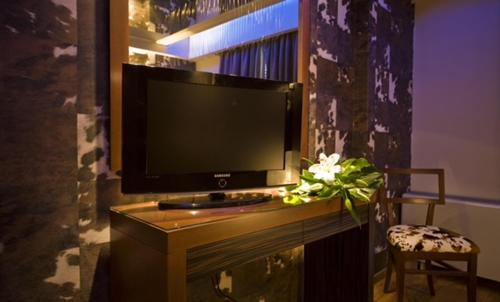 a television sitting on top of a table with a flower at HOTEL PRIVE in Skaramangás