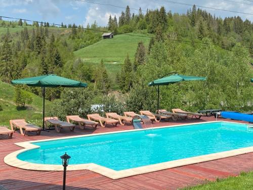 - une piscine avec des chaises et des parasols sur une terrasse dans l'établissement Plavianska Sadyba, à Plavie
