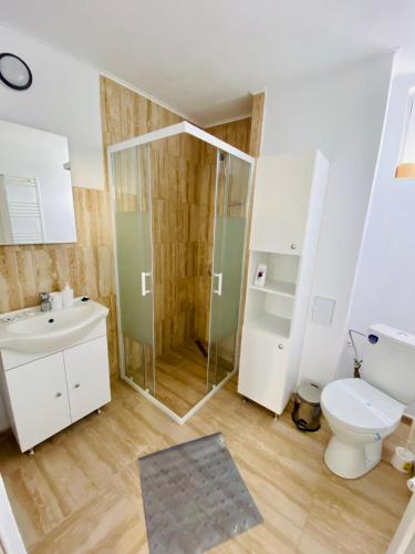 a bathroom with a shower and a toilet and a sink at Pensiunea La Doinel in Densuş