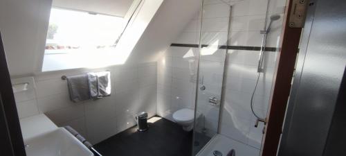 a bathroom with a shower and a toilet and a window at Birkhofer See genießen - Aparthotel am Bodensee in Immenstaad am Bodensee