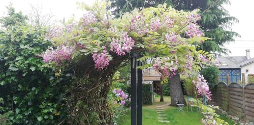 Photo de la galerie de l'établissement Chambre chez Jan-Nicolas et Sylvie, au Mans