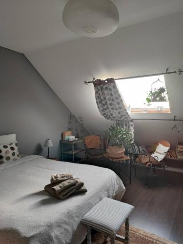 Photo de la galerie de l'établissement Chambre chez Jan-Nicolas et Sylvie, au Mans