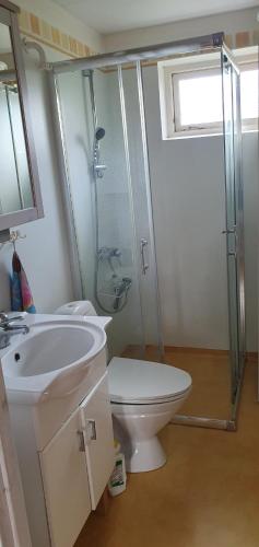 uma casa de banho com um chuveiro, um WC e um lavatório. em Gårdshuset i Simrishamn em Simrishamn