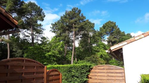 Deux bancs en bois dans un parc avec des arbres en arrière-plan dans l'établissement La maisonnette d'Elo - 4 personnes piscine, aux Mathes
