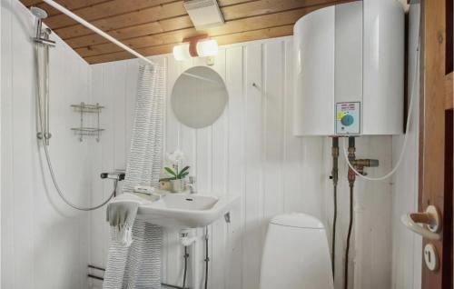 a bathroom with a sink and a toilet and a mirror at Awesome Home In Eskebjerg With Wifi in Eskebjerg
