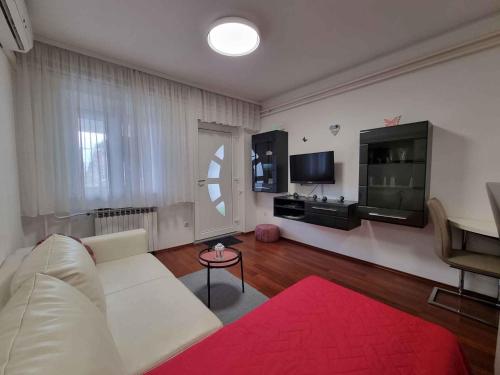 Apartment in Crikvenica 42924