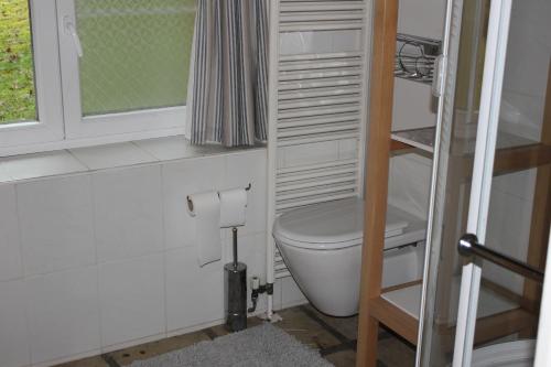 ein Bad mit einem WC und einem Fenster in der Unterkunft Le Moulin in Matton-et-Clémency