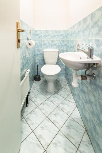 a bathroom with a toilet and a sink at Penzion V Údolí in Hodkovice nad Mohelkou