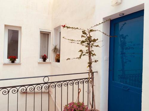 um edifício com uma porta azul e uma planta em Il rifugio di Bacco em Trapani