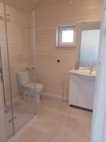 a bathroom with a toilet and a sink at Zante Sarbinowo in Sarbinowo