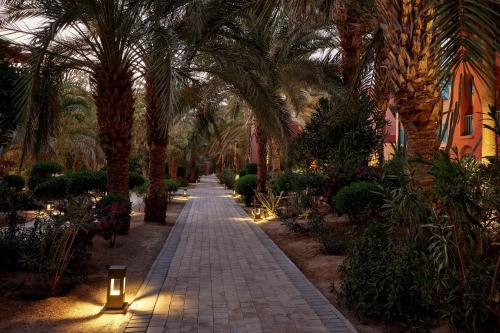 Zahrada ubytování Sheraton Miramar Resort El Gouna