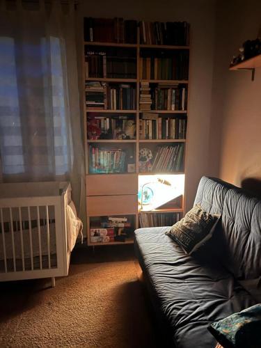 un soggiorno con un divano e una libreria di Casa del bosque a Upesciems