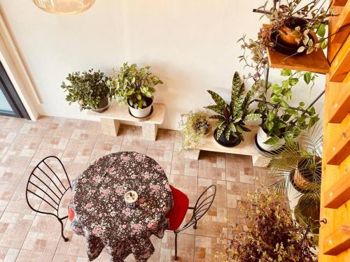 Jardín al aire libre en קומותיים ברמה