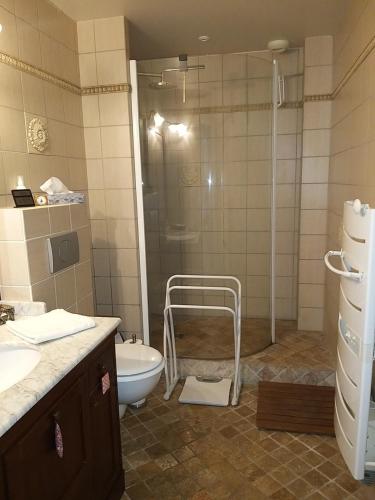 a bathroom with a shower and a toilet and a sink at Chambre et sanitaires privés chez un particulier in Fontenailles