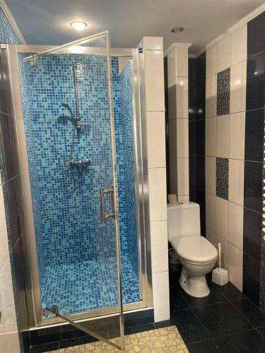a bathroom with a shower and a toilet at Котедж in Vorokhta