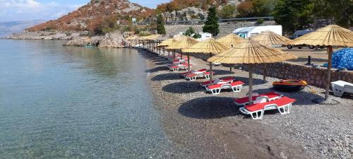 キャンプ場の近くで見られる自然の景観
