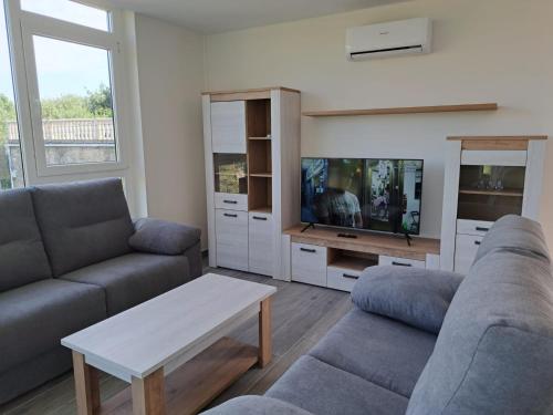 een woonkamer met een bank en een tv bij Casa en Tarela, Porto do Son in Porto do Son