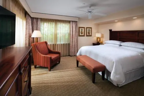 Sheraton Vistana Resort Villas, Lake Buena Vista Orlando photo 4