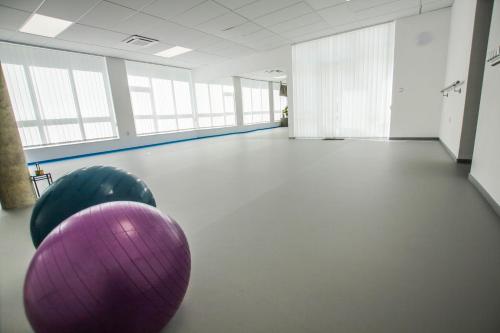 a large room with a purple gym ball in it at Hotel U Pláže in Vranov nad Dyjí