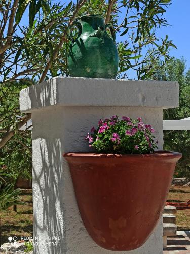 Zahrada ubytování Villa Su Monte Abele