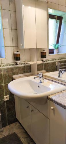 a bathroom with a white sink and a mirror at Chalupa na Koskách in Třeboň