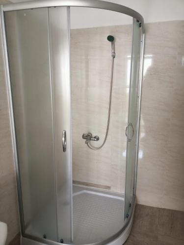 a shower with a glass door in a bathroom at Casa Edental in Orăştie