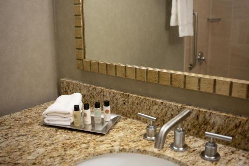 a bathroom counter with a sink and a mirror at Delta Hotels by Marriott Toledo in Toledo