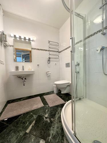 a bathroom with a shower and a toilet and a sink at Zidinio Liepsnele in Palanga