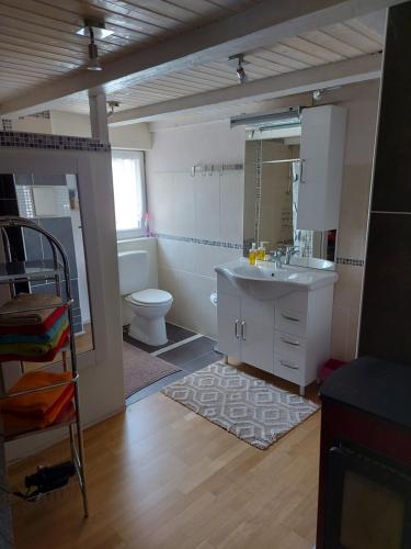 a bathroom with a sink and a toilet and a mirror at Bauernhaus Hinterbühle in Wolfhalden 